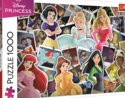 Princesses Disney