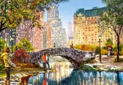 Promenade Nocturne dans Central Park