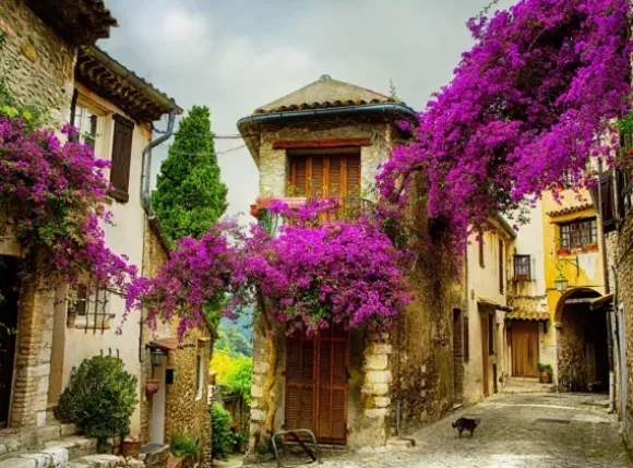 Provence, France