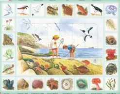 Puzzle Cadre - Apprendre l'Anglais : Au Bord de Mer (en Anglais)