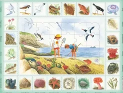 Puzzle Cadre - Bord de mer (en Hollandais)
