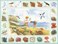 Puzzle Cadre - Bord de mer (en italien)