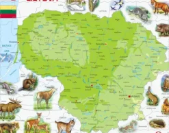 Puzzle Cadre - Carte de la Lituanie (en Lituanien)
