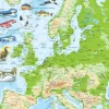 Puzzle Cadre - Carte Topographique de l'Europe (Italien)