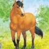 Puzzle Cadre - Cheval