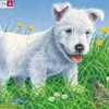 Puzzle Cadre - Chiot