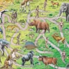 Puzzle Cadre - De Weg van Aab naar Mens (en Hollandais)