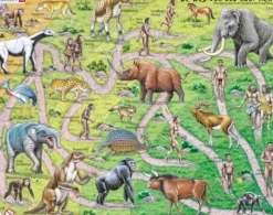 Puzzle Cadre - De Weg van Aab naar Mens (en Hollandais)