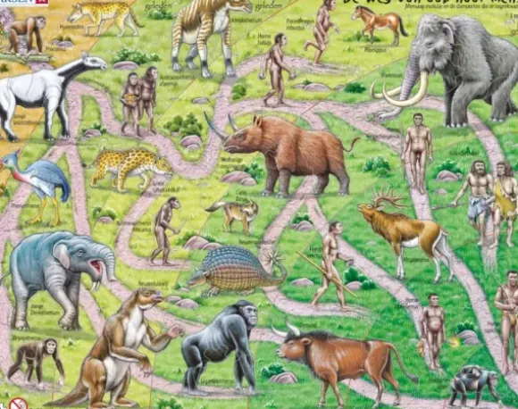 Puzzle Cadre - De Weg van Aab naar Mens (en Hollandais)
