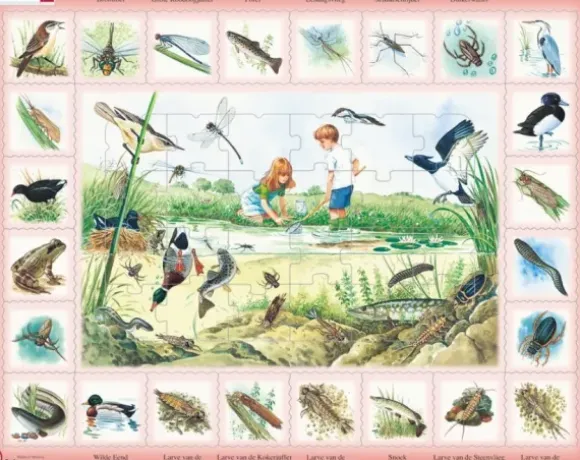 Puzzle Cadre - L'étang (en Hollandais)