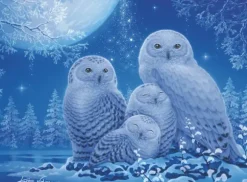 Puzzle Glow in the Dark - Chouettes au Clair de Lune