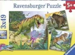 3 Puzzles - Animaux Sauvages