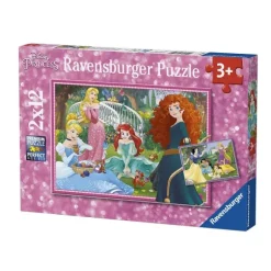 2 Puzzles - Disney Princess