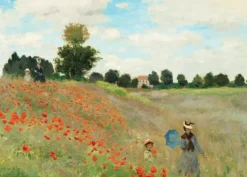 2 Puzzles - L'Art de Monet : Terrasse à Sainte-Adresse, 1867 - Coquelicot, 1873
