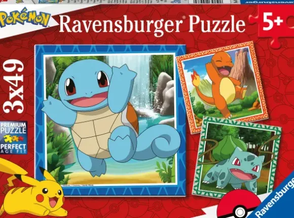 3 Puzzles - Pokemon