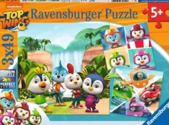3 Puzzles - Top Wing