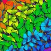 Rainbow Butterflies