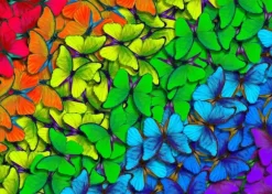 Rainbow Butterflies
