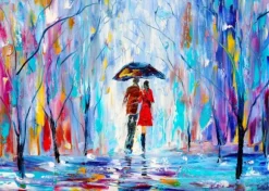 Rainy Love