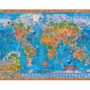 Rajko Zigic - Amazing World