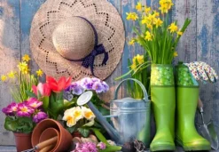 Ready for the Garden