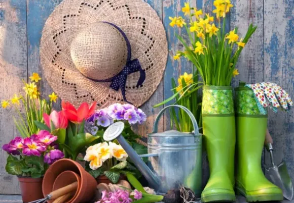 Ready for the Garden