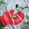 Rencontre Hivernale