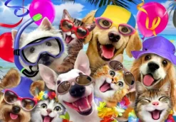 Robinson Howard - Selfie Beach Party