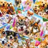 Robinson Howard - Selfie Pet Collage