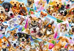 Robinson Howard - Selfie Pet Collage