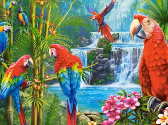 Réunion de Perroquets
