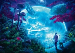 Rêveries Célestes