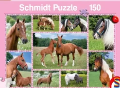 Rêves de Cheval