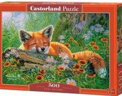 Rêves de Renard