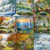 Saisons en Neuf Ecussons