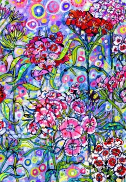 Sally Rich - Sweet William