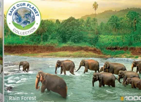 Save our Planet Collection - Forêt Tropicale