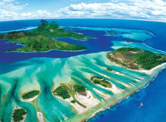 Save the Planet Collection - Récif de Corail