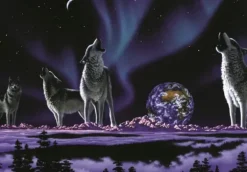 Schimmel William - Schim Schimmel - Earth Song