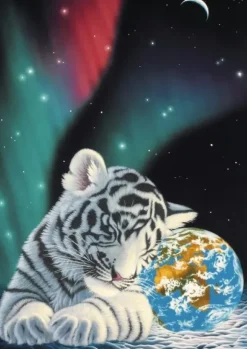 Schimmel William - Schim Schimmel - Earth Light