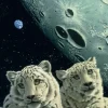 Schimmel William - Schim Schimmel - Lair of the Snow Leopard