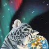 Schimmel William - Schim Schimmel - Earth Light