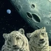 Schimmel William - Schim Schimmel - Lair of the Snow Leopard