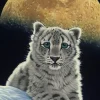 Schimmel William - Schim Schimmel - Moon Leopard