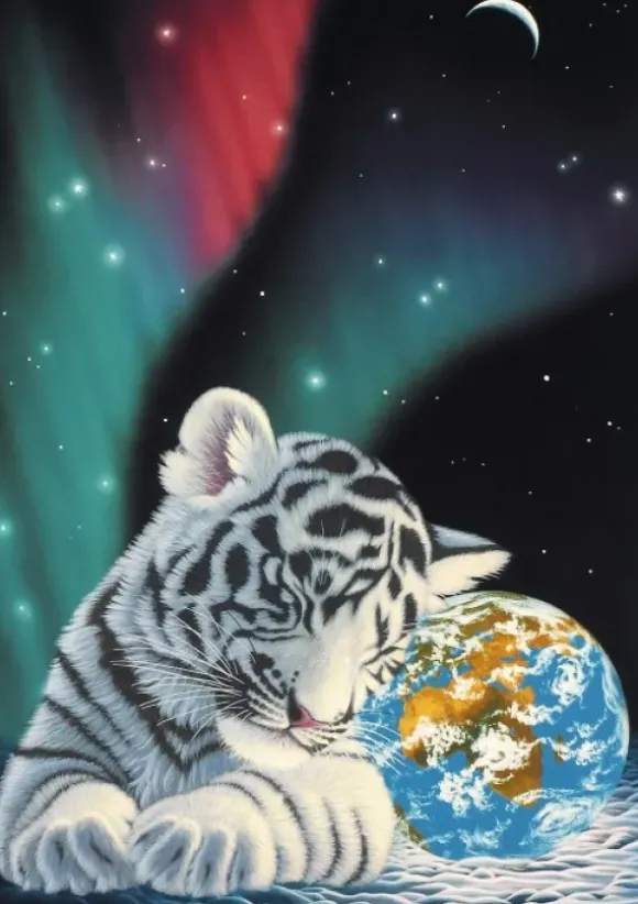 Schimmel William - Schim Schimmel - Earth Lights