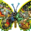 Schory Lori - Lori Schory - Butterfly Migration