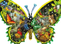Schory Lori - Lori Schory - Butterfly Migration