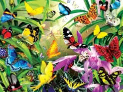 Schory Lori - Lori Schory - Tropical Butterflies