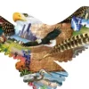 Schory Lori - Puzzle Forme - Le Vol de l'Aigle