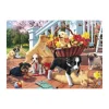 Secret Puzzle - Chiots